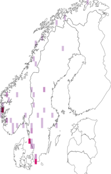 Fyndkarta för Lepraria borealis. Datakälla: GBIF