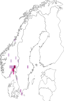 Fyndkarta för Deuterosminthurus bicinctus. Datakälla: GBIF