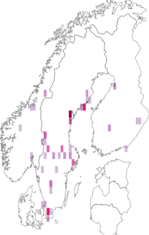 Fyndkarta för Acrotona sylvicola. Datakälla: GBIF