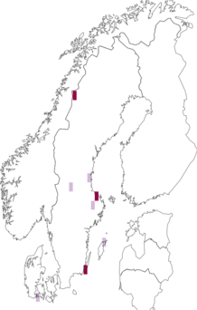 Fyndkarta för Muellerella lichenicola. Datakälla: GBIF