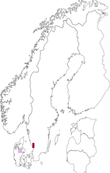 Fyndkarta för barrantennmal. Datakälla: GBIF