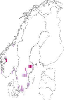 Kaarta Grimmia laevigata. Data source: GBIF