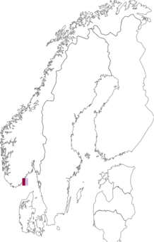 Fyndkarta för Harmothoe borealis. Datakälla: GBIF