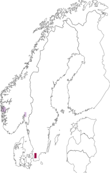Fyndkarta för Mycobilimbia ahlesii. Datakälla: GBIF