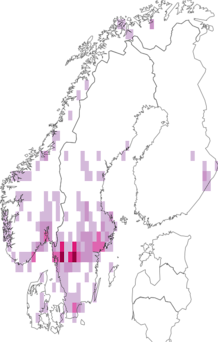 Fyndkarta för alpluggskivling. Datakälla: GBIF