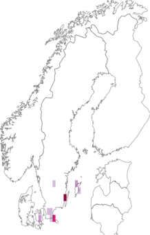 Kaarta Didymodon sinuosus. Data source: GBIF