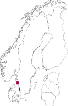 Fyndkarta för nordlig hundhaj. Datakälla: GBIF