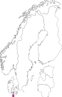 Kaarta Capitella giardi. Data source: GBIF