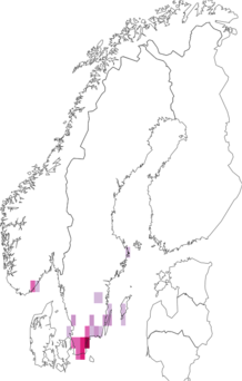Fyndkarta för rutbläcksvamp. Datakälla: GBIF