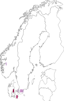 Fyndkarta för Cortinarius cedretorum. Datakälla: GBIF