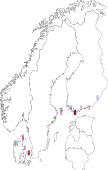 Fyndkarta för gulfläckig igelkottspinnare. Datakälla: GBIF