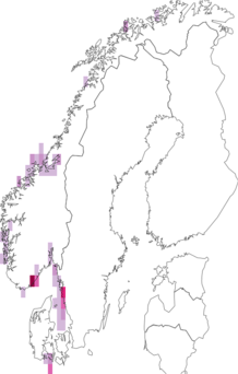 Fyndkarta för Anaspida. Datakälla: GBIF