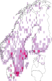 Kaarta Coccinella. Data source: GBIF