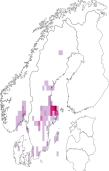 Fyndkarta för violgubbe. Datakälla: GBIF