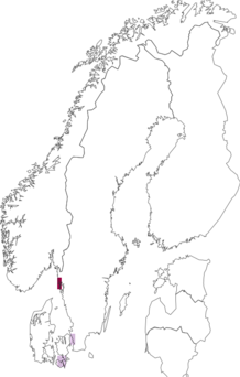 Fyndkarta för avenbokspurpurmal. Datakälla: GBIF