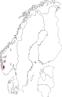 Fyndkarta för Cortinarius lustrabilis. Datakälla: GBIF