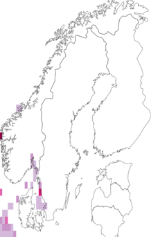 Kaarta Eudorella truncatula. Data source: GBIF