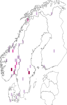 Fyndkarta för taigamjölskinn. Datakälla: GBIF