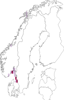 Fyndkarta för glansfiskartade fiskar. Datakälla: GBIF