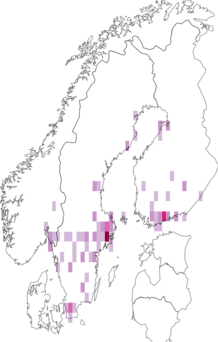 Fyndkarta för tidig dammblomfluga. Datakälla: GBIF