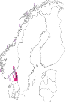 Fyndkarta för havsmusfiskar. Datakälla: GBIF