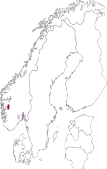 Fyndkarta för Amanita magnivolvata. Datakälla: GBIF