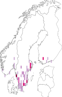 Fyndkarta för liten rosenkvitten. Datakälla: GBIF