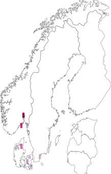 Fyndkarta för Cortinarius osmophorus. Datakälla: GBIF