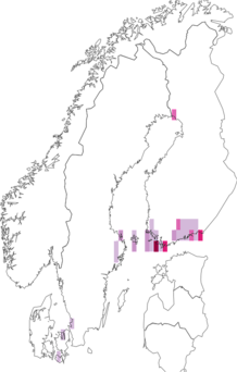 Fyndkarta för streckad fältmalörtplattmal. Datakälla: GBIF