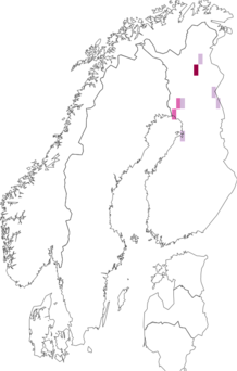 Fyndkarta för nordlig korthuvudmal. Datakälla: GBIF