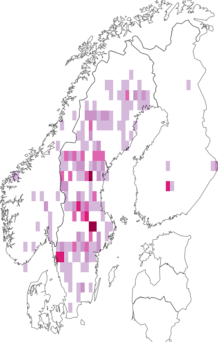Kaarta Cortinarius ochrophyllus. Data source: GBIF