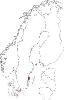 Fyndkarta för Exochorda. Datakälla: GBIF