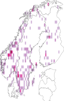 Fyndkarta för skär bryum. Datakälla: GBIF