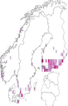 Fyndkarta för blåhallonknoppmal. Datakälla: GBIF