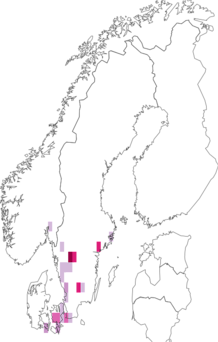Fyndkarta för sydfladdermus. Datakälla: GBIF