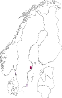 Fyndkarta för almbarksdvärgmal. Datakälla: GBIF