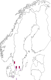 Fyndkarta för brun bokdvärgmal. Datakälla: GBIF