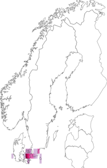 Fyndkarta för nordiskt kapuschongfly. Datakälla: GBIF