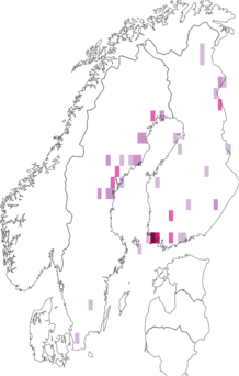 Fyndkarta för måsgallblomfluga. Datakälla: GBIF