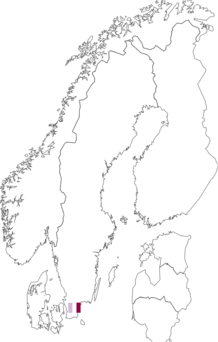 Fyndkarta för gul frölöpare. Datakälla: GBIF