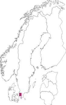Fyndkarta för korthornig glansblomfluga. Datakälla: GBIF