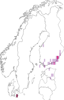 Fyndkarta för kärrguldvinge. Datakälla: GBIF