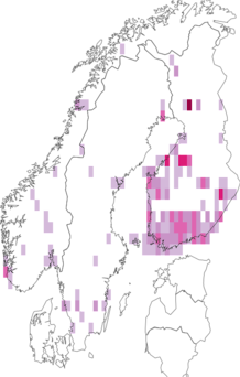Fyndkarta för svart rallarrosbrokmal. Datakälla: GBIF