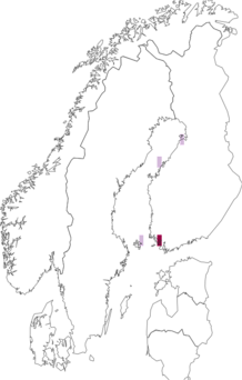 Fyndkarta för Rachispoda intermedia. Datakälla: GBIF