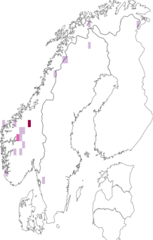 Fyndkarta för Lichenomphalia. Datakälla: GBIF