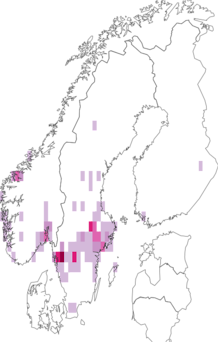 Kaarta Russula azurea. Data source: GBIF