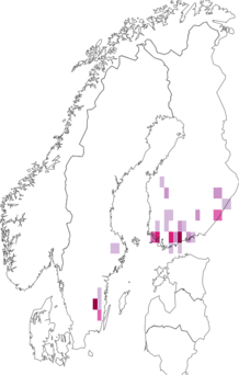 Fyndkarta för svart ängskorthuvudmal. Datakälla: GBIF