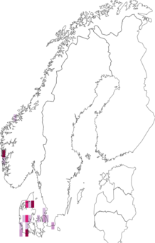 Fyndkarta för Lachnum apalum. Datakälla: GBIF