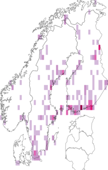 Fyndkarta för Scathophaga. Datakälla: GBIF