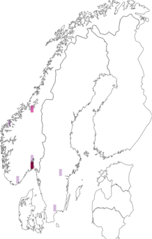 Fyndkarta för Pyronema. Datakälla: GBIF
